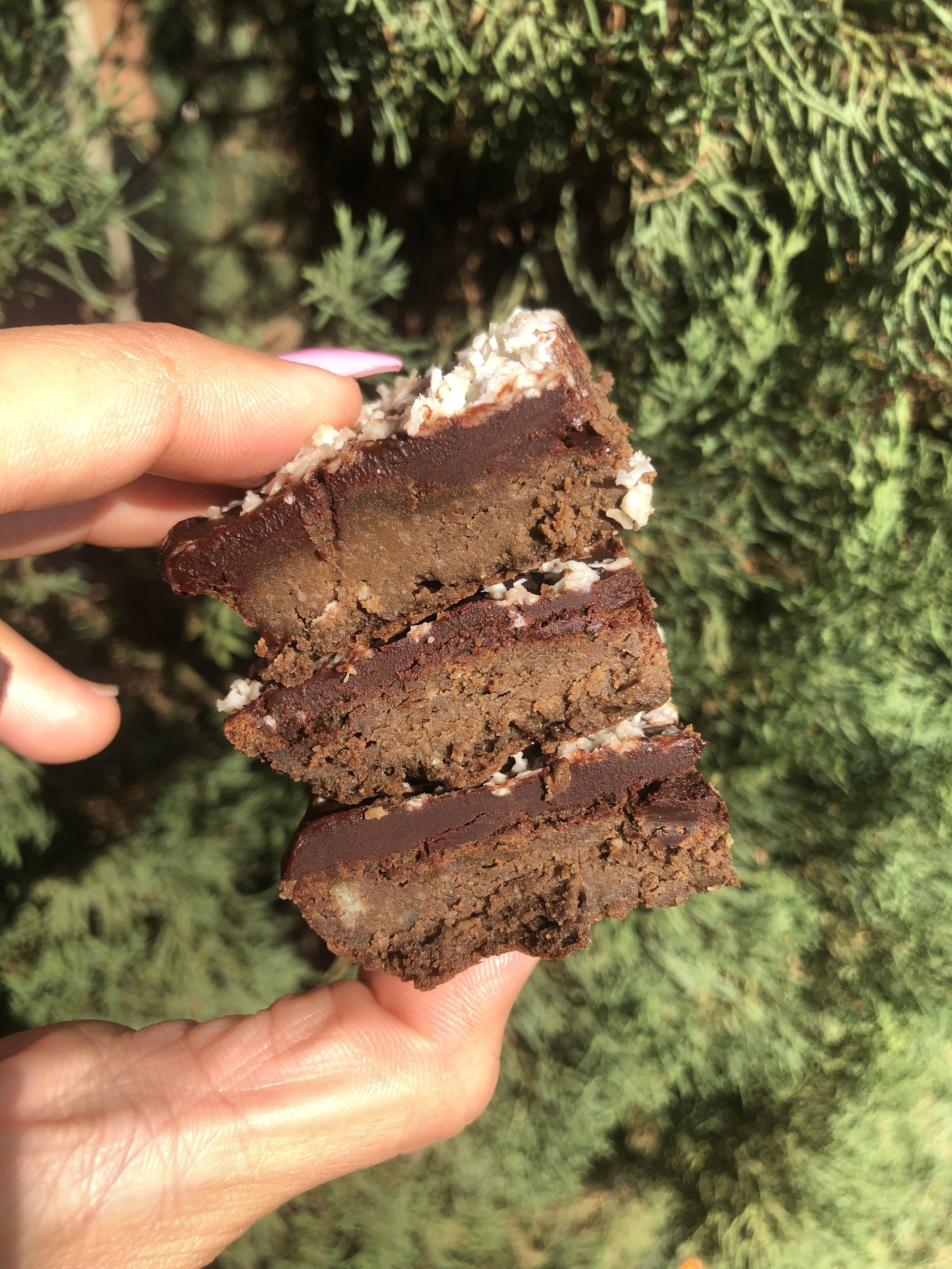 VEGAN FUDGE AVOCADO S’MORES PROTEIN BROWNIE WITH CHOCOLATE FROSTING